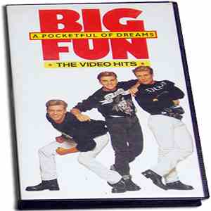 Big Fun - A Pocketful Of Dreams - The Video Hits download flac mp3