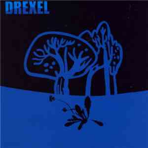 Drexel - What Went Wrong download flac mp3