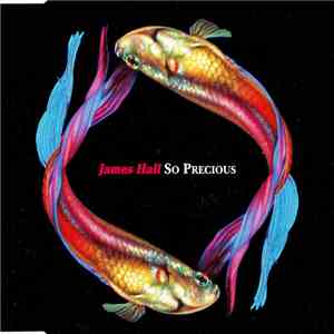 James Hall - So Precious download flac mp3