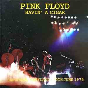 Pink Floyd - Havin' A Cigar download flac mp3