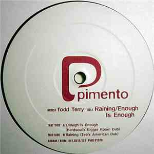 Todd Terry - Raining / Enough Is Enough download flac mp3