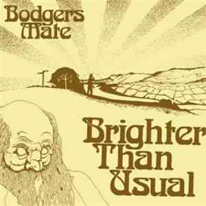 Bodgers Mate - Brighter Than Usual download flac mp3