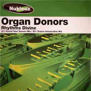 Organ Donors - Rhythms Divine flac mp3 download