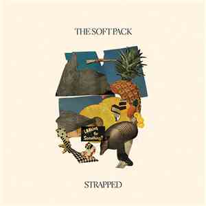 The Soft Pack - Strapped download flac mp3