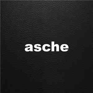 Asche - Distorted Disco download flac mp3