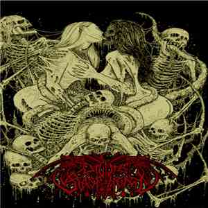 Divine Blasphemy - Beyond The Portal download flac mp3