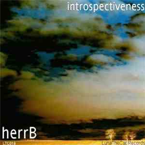 herrB - Introspectiveness download flac mp3