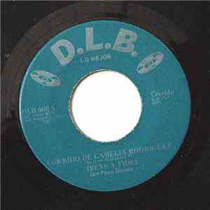 Irene Y Fidel - Corrido De Camelia Rodriguez / Porque No He De Llorar download flac mp3