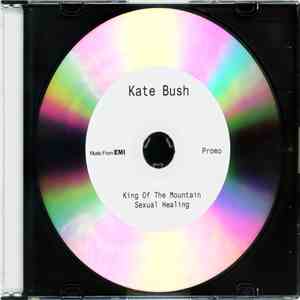 Kate Bush - King Of The Mountain download flac mp3