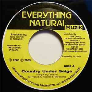 Natty King & Gaddiel / Niko Wayne - Country Under Seige / Under Seige Part 2 download flac mp3