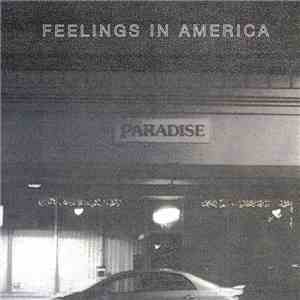 Pete Swanson - Feelings In America download flac mp3