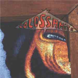 Colossamite - Economy Of Motion download flac mp3