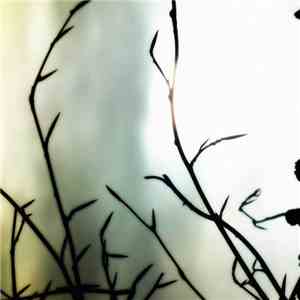 Good Weather For An Airstrike - A Sense Of Uncertainty download flac mp3