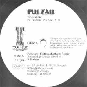 Pulzar - Evolution download flac mp3