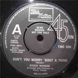 Stevie Wonder - Don't You Worry 'Bout A Thing / Do Yourself A Favor download flac mp3