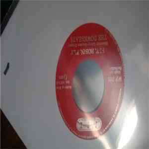 The Downbeats  - Fly, Robin, Fly download flac mp3