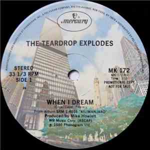 The Teardrop Explodes - When I Dream download flac mp3