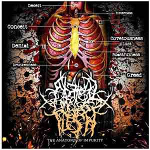 Abated Mass Of Flesh - The Anatomy Of Impurity download flac mp3