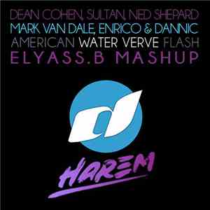 Dean Cohen vs Mark Van Dale & Enrico - American Water Verve Flash (Elyass.B Mashup) download flac mp3