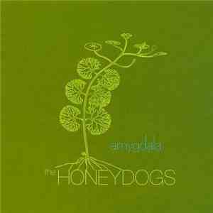 Honeydogs - Amygdala download flac mp3