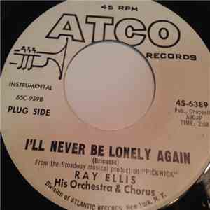 Ray Ellis - I'll Never Be Lonely Again flac mp3 download