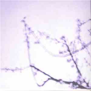 Ryan Gregory Tallman - Multiplicity Of Figures flac mp3 download