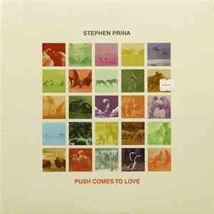 Stephen Prina - Push Comes To Love download flac mp3