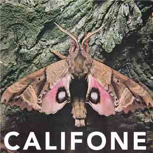 Califone - Insect Courage download flac mp3