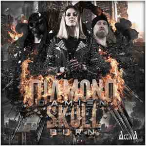 Diamond Skull Feat. Damien - Burn flac mp3 download