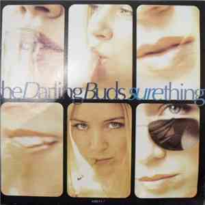 The Darling Buds - Sure Thing download flac mp3