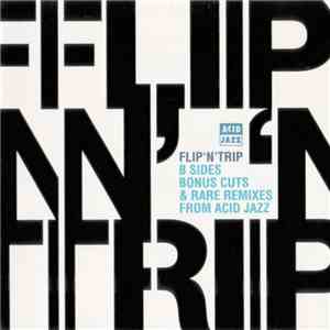 Various - Flip'N'Trip flac mp3 download