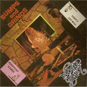 Wayward Family - Bumps & Grinds download flac mp3