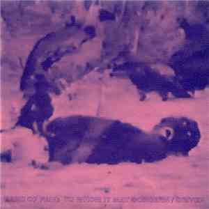 Band Of Pain - To Whom It May Concern / Driven download flac mp3