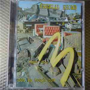 Frenzal Rhomb - Not So Tough Now download flac mp3