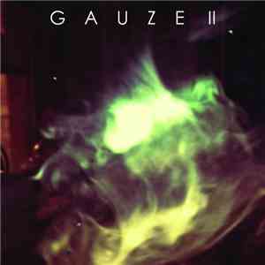Kevin Hein - Gauze II download flac mp3