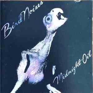 Midnight Oil - Bird Noises download flac mp3