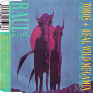 Raul Orellana - Toros / Real Wild Megamix download flac mp3
