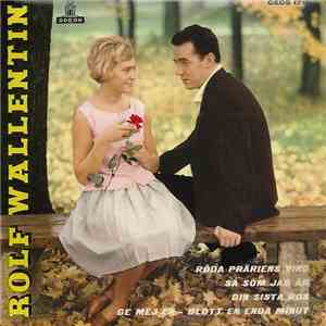 Rolf Wallentin - Röda Präriens Vind download flac mp3