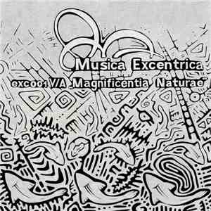 Various - Magnificentia Naturae download flac mp3