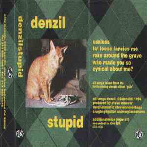 Denzil - Stupid download flac mp3
