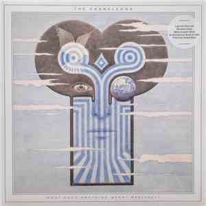 The Chameleons - What Does Anything Mean? Basically flac mp3 download