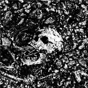 Black Vice - Tour Tape 2016 download flac mp3