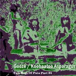 Gooze / Koobaatoo Asparagus - Two Ways Of Pain Part 24 download flac mp3