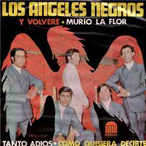 Los Angeles Negros - Y, Volvere download flac mp3