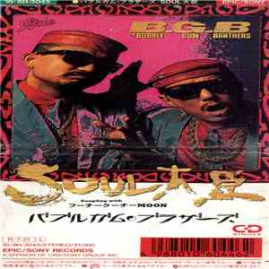 バブルガム・ブラザーズ - Soul大臣 download flac mp3