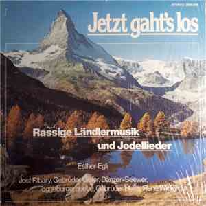 Various - Jetzt Gaht's Los download flac mp3
