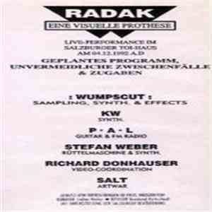 Various - Radak - Eine Visuelle Prothese flac mp3 download
