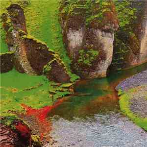 Clams Casino - Rainforest download flac mp3