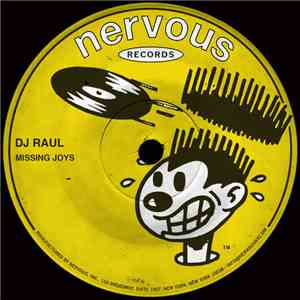 DJ Raul  - Missing Joys download flac mp3