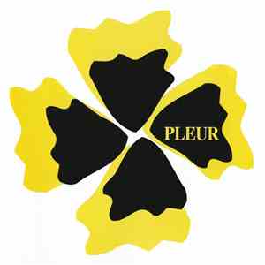pleur - pleur pick up -f download flac mp3